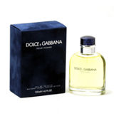 Dolce Gabbana Perfumes JCPenney