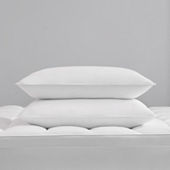 The Company Store Organic White Extra Firm Down Standard Pillow  PP45-STD-WHITE - The Home Depot