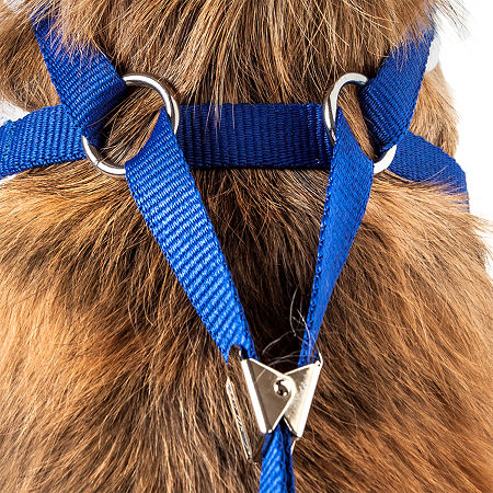 Pet Life Luxe 'Spawling' 2-In-1 Mesh Reversed Adjustable-Leash W/ Fashion Bowtie Dog Pet Harnesses, X-small, Blue