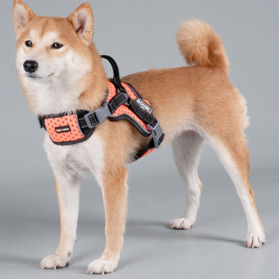 Dog Helios Scorpion' Sporty High-Performance Free-Range Dog Harness
