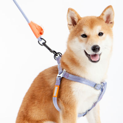Touchdog Macaron' 2-In-1 Durable Nylon Leash Dog Harness