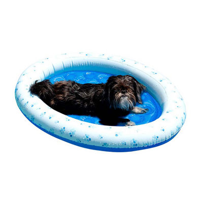 PoolCandy Pet Float - Small To Medium Dogs Up To 35Lbs.