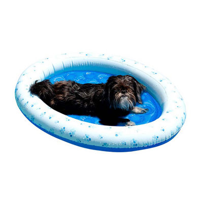 Water float outlet for dogs