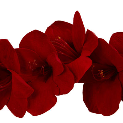 Nearly Natural 5ft. Amaryllis Silk Indoor Christmas Garland