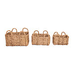 Baum Natural Rush Seagrass Set of 3 Decorative Storage Basket with Handles