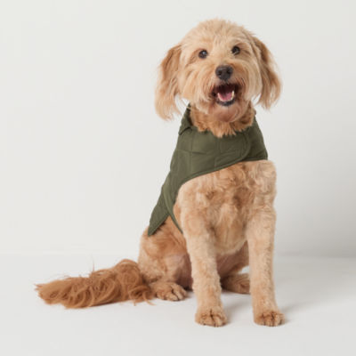 St. Johns Bark Dog Coat