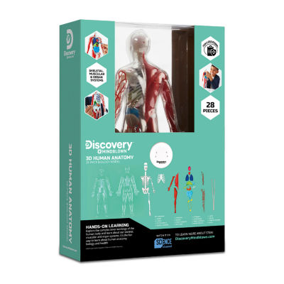 Discovery™ #Mindblown 3D Human Anatomy 28-Piece Biology Model