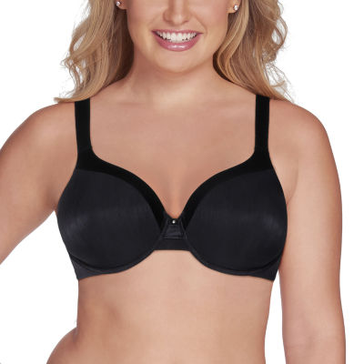 Illumination Plus Size Brief Panty