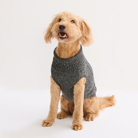 St. Johns Bark Dog Sweater In Gray