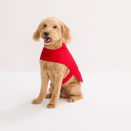 St. Johns Bark Animal Dog Coat In Red