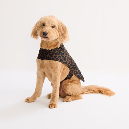 St. Johns Bark Animal Dog Coat In Brown