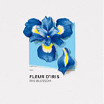Solinotes Iris Eau De Parfum, 1.7 Oz