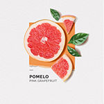 Solinotes Pink Grapefruit Eau De Parfum Rollerball, 0.33 Oz