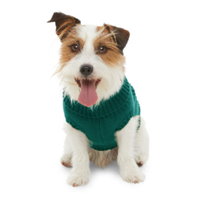 Buy green bay dog sweater - OFF-66% > Free Delivery