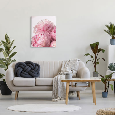 Stupell Industries Blush Pink Peony Florals Canvas Art