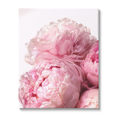 Stupell Industries Blush Pink Peony Florals Canvas Art