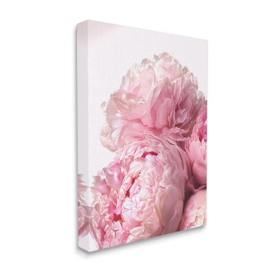 Stupell Industries Blush Pink Peony Florals Canvas Art