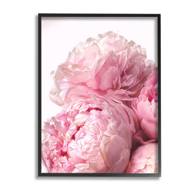 Stupell Industries Blush Pink Peony Florals Print