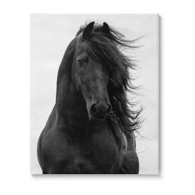Stupell Industries Black Stallion Horse Portrait Canvas Art