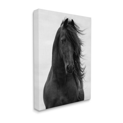 Stupell Industries Black Stallion Horse Portrait Canvas Art