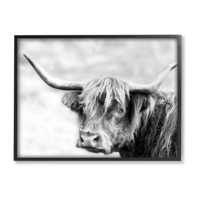 Bold Country Cattle Photography Print