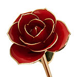 24K Gold Dipped Red Rose