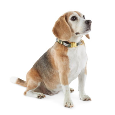 Paw & Tail Woven Printed Plaid Dog Collar