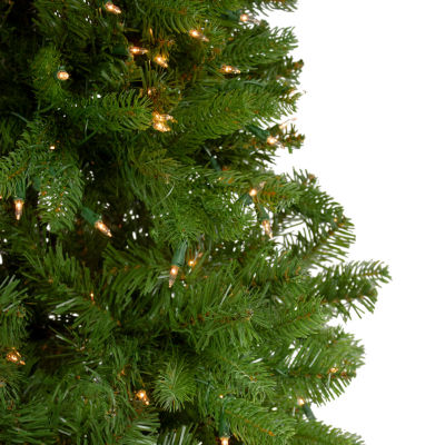 Northlight Palisades Fir 6 Foot Pre-Lit Fir Christmas Tree