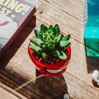 Marvel Spider-Man Head Mini Ceramic Planter