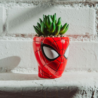 Marvel Spider-Man Head Mini Ceramic Planter