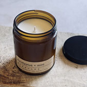 Z Candles 8 oz Single Wick Mango + Coconut Scented Jar Candle | One Size | Candles + Diffusers Jar Candles