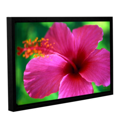 Brushstone Maui Pink Hibiscus Gallery Wrapped Floater-Framed Canvas Wall Art