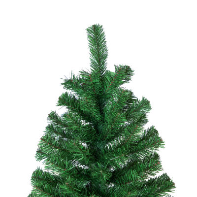 Northlight 12ft Full Colorado Spruice 12 Foot Spruce Christmas Tree