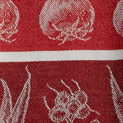 Design Imports 5-pc. Dish Cloth Set