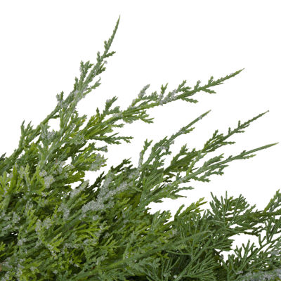 Northlight Frosted Cedar And Pine Cone Wreath