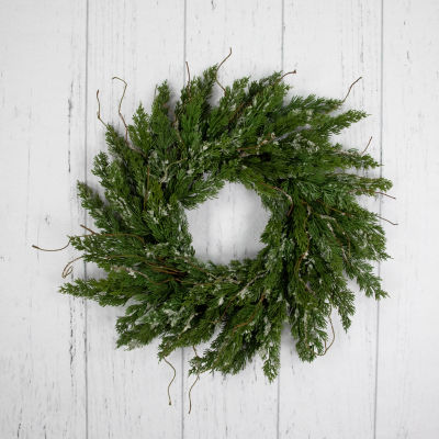Northlight 24in Iced Cedar Unlit Wreath