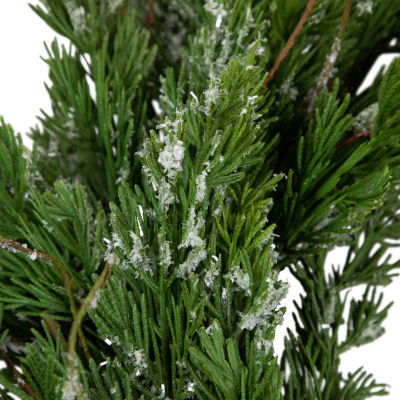 Northlight 24in Iced Cedar Unlit Wreath