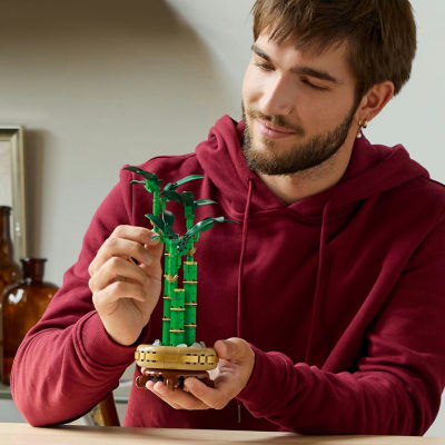 LEGO® Botanicals Flatbed Truck Building Blocks 325-pc.