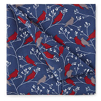 Home Expressions Cozy Microfiber Flannel Sheet Set, One Size, Blue