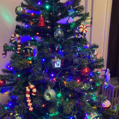 6' Colorado Spruce 2-Tone Artificial Christmas Tree  Unlit