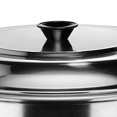 Vasconia 32-qt. Aluminum Steamer Insert with Lid