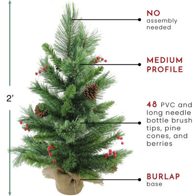 Northlight Mixed Cashmere Berry Pine Unlit 2 Foot Pine Christmas Tree