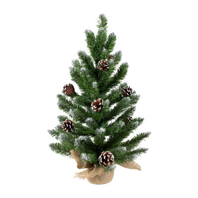 Northlight Frosted Norway Unlit 2 Foot Pine Christmas Tree