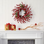 Nearly Natural 24in. Frosted With Berries And Pine Cones Indoor Christmas Wreath