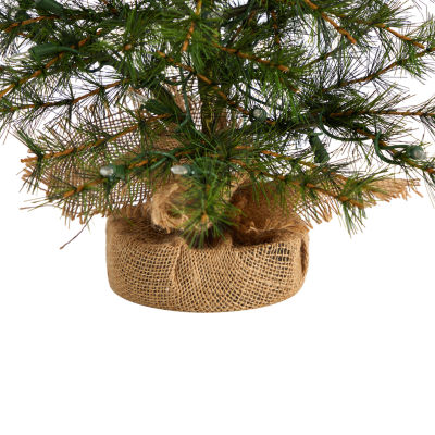 Nearly Natural 3 Foot Pine In A Burlap Base With 50 Clear Led Lights Pre-Lit Christmas Tree