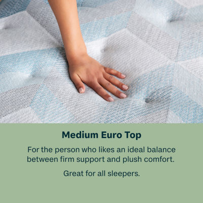 Beauty Sleep Dream Weaver™ 12.25" Medium Euro Top - Mattress Only