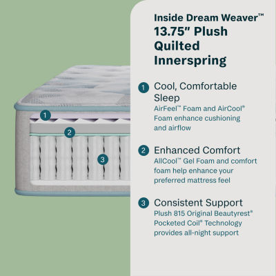 Beauty Sleep Dream Weaver™ 13.75" Plush Tight Top - Mattress Only