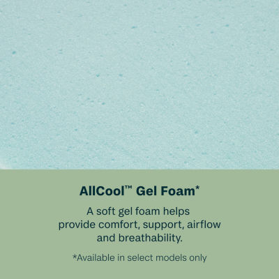 BeautySleep Dream Weaver 14.25" Ultra Plush Pillow Top - Mattress Only