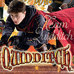Top Trumps Usa Inc. Harry Potter Quidditch 1000 Pc Puzzle