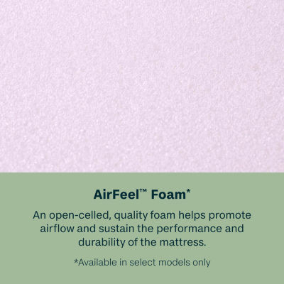 BeautySleep Dream Weaver 13.75" Plush Tight Top - Mattress + Box Spring